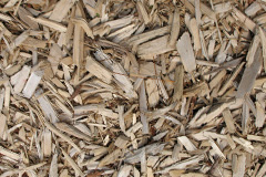 biomass boilers Grindle